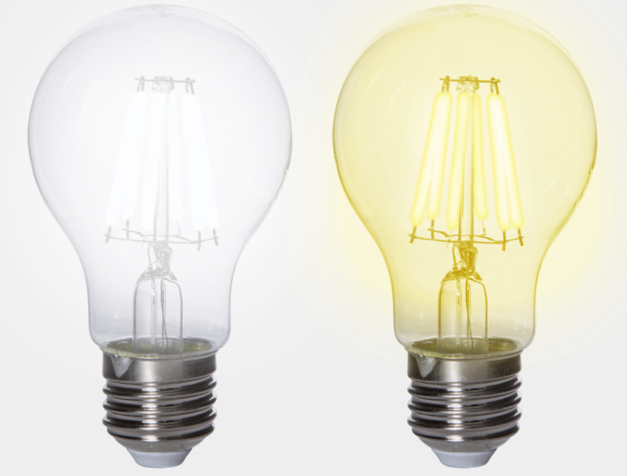 Bulb